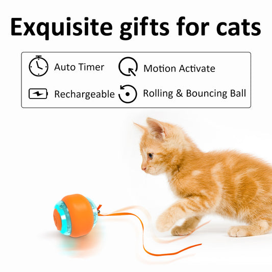 Electric Cat Toy Ball, Interactive, rechargeable, FREE SHIPPING!